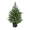 National Tree Company 3 ft. Cypress Topiary in Black Plastic Nursery Pot with 100 RGB LED Lights-UL- A/C Image 1