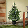 National Tree Company 3 ft. Cypress Topiary in Black Plastic Nursery Pot with 100 RGB LED Lights-UL- A/C Image 1