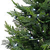 National Tree Company 3 ft. Cypress Topiary in Black Plastic Nursery Pot with 100 RGB LED Lights-UL- A/C Image 2
