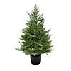 National Tree Company 3 ft. Cypress Topiary in Black Plastic Nursery Pot Image 1