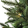 National Tree Company 3 ft. Evergreen Pathway Tree with Clear Lights Image 2