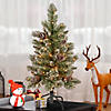 National Tree Company 3 ft. Glittering Pine Pencil Slim Tree with Clear Lights Image 1