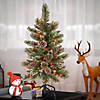 National Tree Company 3 ft. Glittering Pine Pencil Slim Tree with Multicolor Lights Image 1