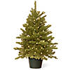 National Tree Company 3 ft. Hampton Spruce Tree with Clear Lights Image 1
