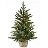 National Tree Company 3 ft. Nordic Spruce&#174; Tree with Clear Lights Image 1