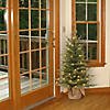 National Tree Company 3 ft. Nordic Spruce&#174; Tree with Clear Lights Image 1