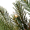 National Tree Company 3 ft. Nordic Spruce&#174; Tree with Clear Lights Image 3