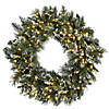 National Tree Company 30" Glittery Bristle Pine Wreath with Dual Color&#174; LED Cosmic Lights&#174; Image 1