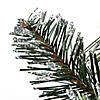 National Tree Company 30" Glittery Bristle Pine Wreath with Dual Color&#174; LED Cosmic Lights&#174; Image 2