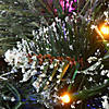 National Tree Company 30" Glittery Bristle Pine Wreath with Dual Color&#174; LED Cosmic Lights&#174; Image 3