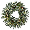 National Tree Company 30" Pre-Lit Artificial Christmas Wreath, Snowy Morgan Spruce with Twinkly LED Lights, Plug in Image 1