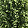 National Tree Company 32" Cypress Tree in Dark Green Round Growers Pot- 8.5x7.5x6.5" Pot Image 2