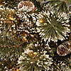 National Tree Company 32 in. Glittery Bristle Pine Snowflake with Battery Operated Warm White LED Lights Image 2