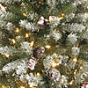 National Tree Company 4.5 ft. Dunhill&#174; Fir Tree with Clear Lights Image 2