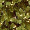 National Tree Company 4.5 ft. Jersey Fraser Fir Tree with Clear Lights Image 2