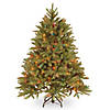 National Tree Company 4.5 ft. Jersey Fraser Fir Tree with Multicolor Lights Image 1