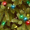 National Tree Company 4.5 ft. Jersey Fraser Fir Tree with Multicolor Lights Image 2