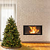 National Tree Company 4.5 ft. Newberry&#174; Spruce Tree with Clear Lights Image 1