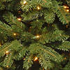 National Tree Company 4.5 ft. Newberry Spruce Tree with Dual Color LED Lights Image 2