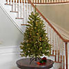 National Tree Company 4.5 ft. North Valley&#174; Spruce Tree with Clear Lights Image 1