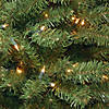 National Tree Company 4.5 ft. North Valley&#174; Spruce Tree with Clear Lights Image 2