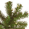 National Tree Company 4.5 ft. North Valley&#174; Spruce Tree with Clear Lights Image 3