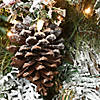 National Tree Company 4.5 ft. Snowy Bedford Pine Tree with Clear Lights Image 4