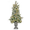 National Tree Company 4 ft. Artificial Frosted Colonial Fir Entrance Christmas Tree with Berries and Poinsettia Flowers, Pre-Lit with Warm White LED Lights, Plug In Image 1