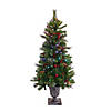 National Tree Company 4 ft. CrestwoodSpruce Entrance Tree with Twinkly LED Lights Image 1