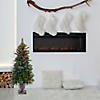 National Tree Company 4 ft. CrestwoodSpruce Entrance Tree with Twinkly LED Lights Image 4