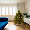 National Tree Company 4 ft. Dunhill&#174; Fir Tree with Clear Lights Image 1