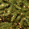 National Tree Company 4 ft. Dunhill&#174; Fir Tree with Clear Lights Image 2