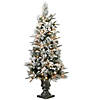 National Tree Company 4 ft. Frosted Colonial Fir Entrance Tree with Clear Lights Image 1