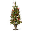National Tree Company 4 ft. Frosted Pine Berry Entrance Tree with Clear Lights Image 1