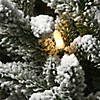 National Tree Company 4 ft. Iceland Fir Entrance Tree with Clear Lights Image 2