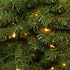 National Tree Company 4 ft. Kincaid Spruce Tree with Clear Lights Image 2