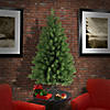 National Tree Company 4 ft. North Valley&#174; Spruce Tree Image 1