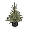 National Tree Company 4 ft. Pre-Lit Christmas Blue Evergreen Entrance Tree Image 1