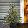 National Tree Company 4 ft. Pre-Lit Christmas Blue Evergreen Entrance Tree Image 1