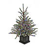 National Tree Company 4 ft. Pre-Lit Christmas Blue Evergreen Entrance Tree Image 3