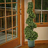 National Tree Company 44" Boxwood Spiral Topiary with Weighted Nursery Image 1
