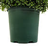 National Tree Company 44" Boxwood Spiral Topiary with Weighted Nursery Image 3