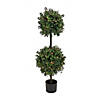 National Tree Company 46" Boxwood Double Ball Topiary in Black Plastic Nursery Pot with 100 Clear Lights- UL- A/C Image 1