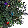 National Tree Company 46" Boxwood Double Ball Topiary in Black Plastic Nursery Pot with 100 RGB LED Lights- UL- A/C Image 2
