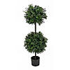 National Tree Company 46" Boxwood Double Ball Topiary in Black Plastic Nursery Pot Image 1