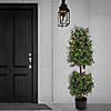 National Tree Company 48" Boxwood Cone and Ball Topiary in Black Plastic Nursery Pot with 150 Clear Lights- UL- A/C Image 1