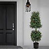 National Tree Company 48" Boxwood Cone and Ball Topiary in Black Plastic Nursery Pot with 150 RGB LED Lights- UL- A/C Image 1