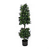 National Tree Company 48" Boxwood Cone and Ball Topiary in Black Plastic Nursery Pot Image 1