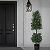 National Tree Company 48" Boxwood Cone and Ball Topiary in Black Plastic Nursery Pot Image 1