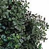 National Tree Company 48" Boxwood Cone and Ball Topiary in Black Plastic Nursery Pot Image 2